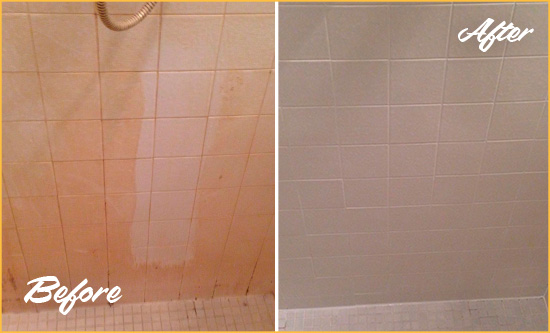 Before and After Picture of a Novato Porcelaine Shower Cleaned to Remove Soap Scum